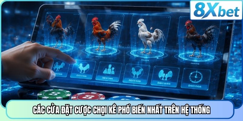 Các cửa đặt cược chọi kê phổ biến nhất trên hệ thống