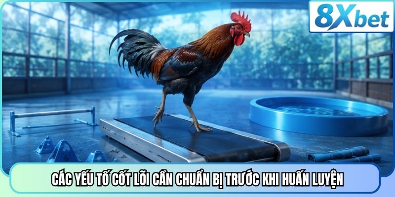 Các yếu tố cốt lõi cần chuẩn bị trước khi huấn luyện