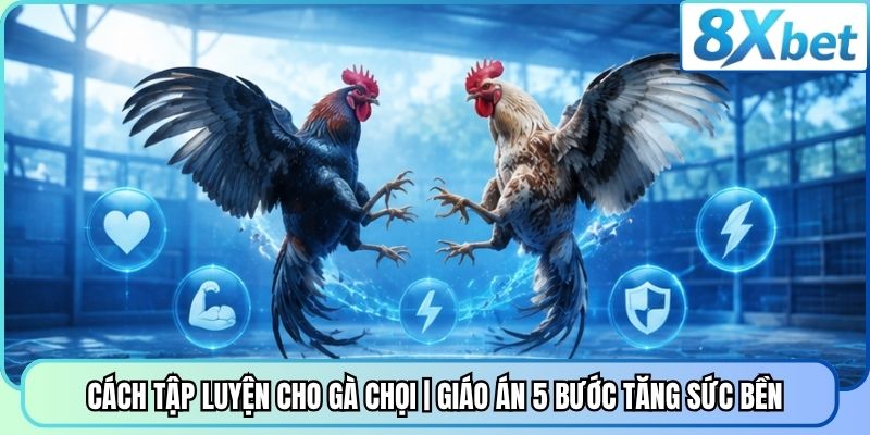 Cách Tập Luyện Cho Gà Chọi | Giáo Án 5 Bước Tăng Sức Bền