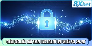 Chính Sách Bảo Mật 8XBET | Mã Hóa Dữ Liệu Chuẩn SSL 256-Bit