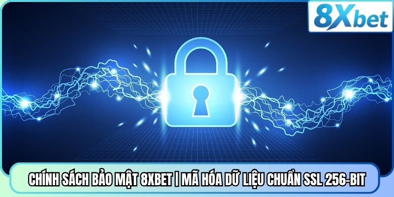 Chính Sách Bảo Mật 8XBET | Mã Hóa Dữ Liệu Chuẩn SSL 256-Bit