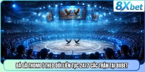 Đá Gà Thomo | Theo Dõi Liên Tục 24/7 Các Trận Tại 8XBET