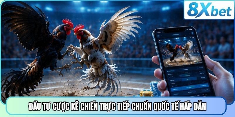 Đầu tư cược kê chiến trực tiếp chuẩn quốc tế hấp dẫn