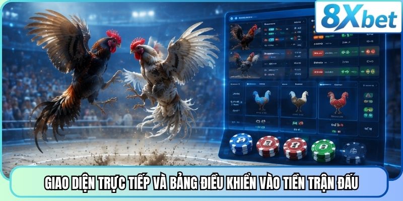 Giao diện trực tiếp và bảng điều khiển vào tiền trận đấu