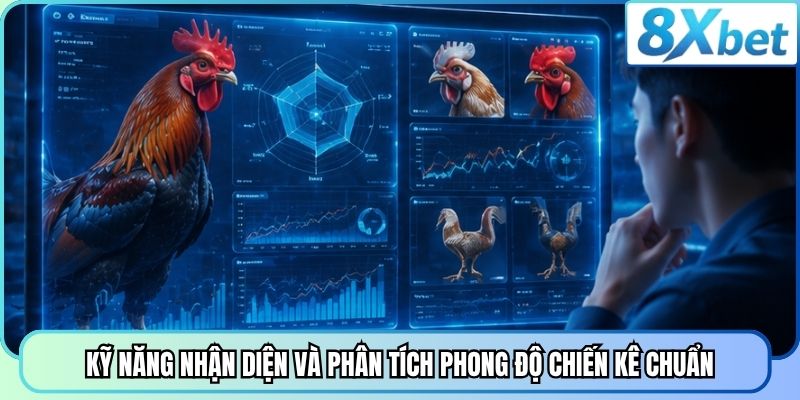 Kỹ năng nhận diện và phân tích phong độ chiến kê chuẩn