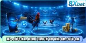 Nạp & Cược Đá Gà Thomo | Hoàn Tất Quy Trình Qua 3 Bước Gọn