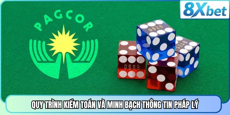 Quy trình kiểm toán và minh bạch thông tin pháp lý