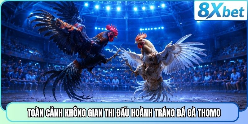 Toàn cảnh không gian thi đấu hoành tráng đá gà thomo