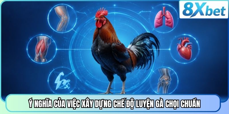 Ý nghĩa của việc xây dựng chế độ luyện gà chọi chuẩn
